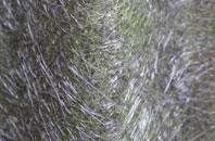 Turnhouse fibreglass roof work